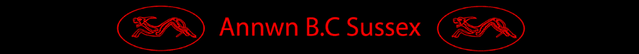 annwnbanner